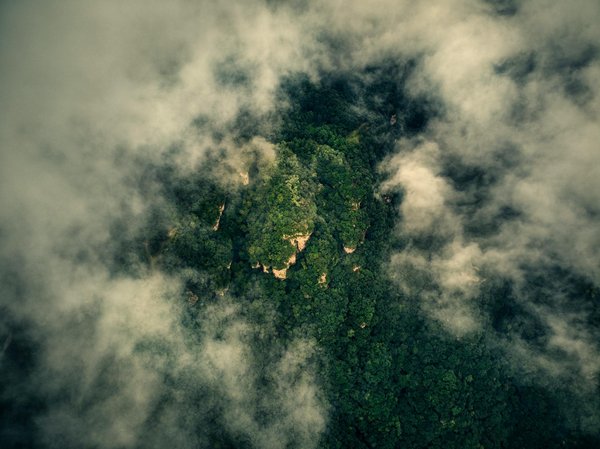 Weloca : bien-être naturel pour chiens et chats