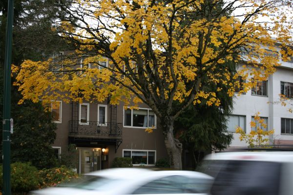 Guide des stratégies pour quitter un logement DPE F